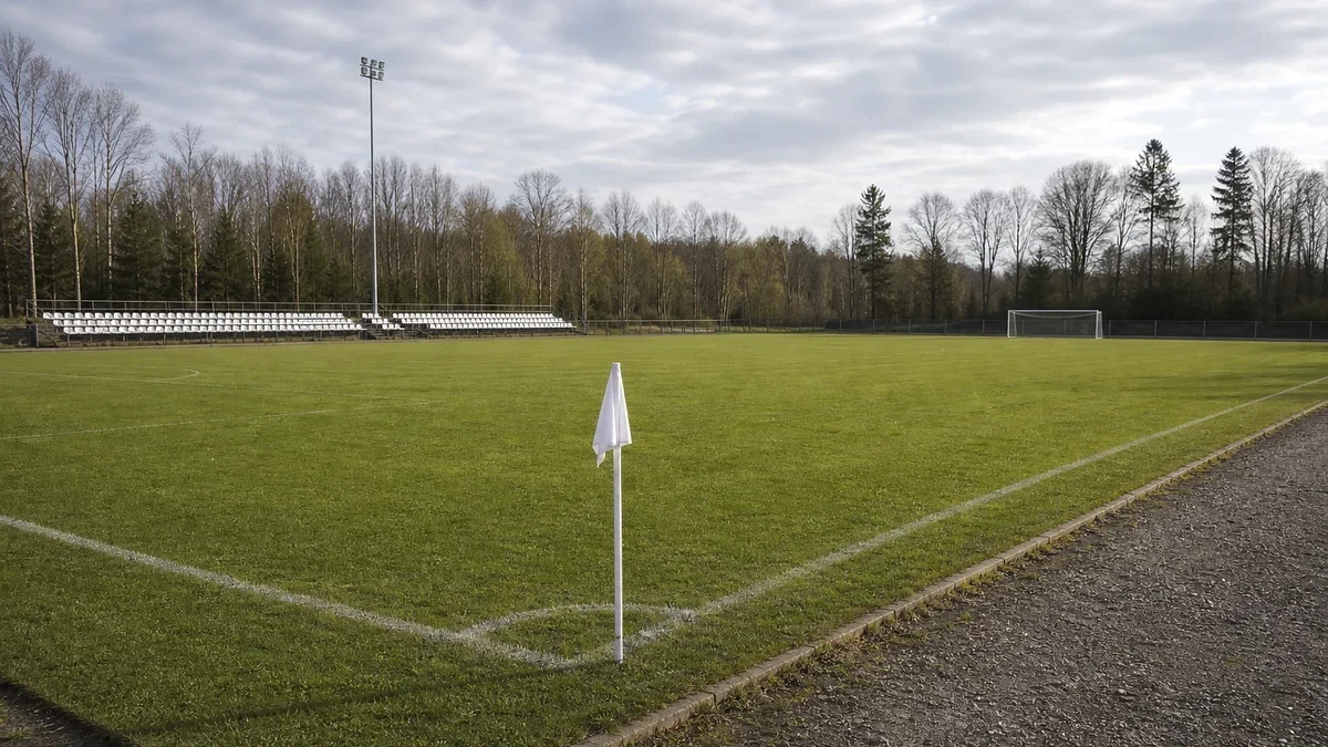 Illustrationsbild från en anonym fotbollsmiljö.