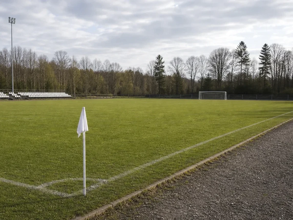 Illustrationsbild från en anonym fotbollsmiljö.